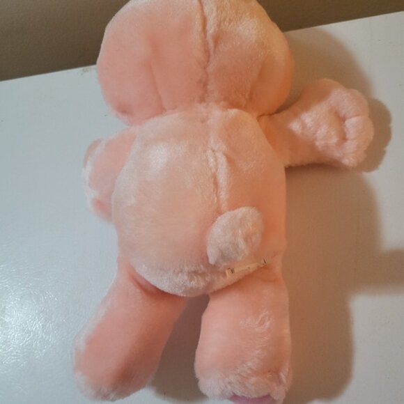 Vintage 1991 Environmental Cheer Bear Care Bear Toy - Picture 2 of 5